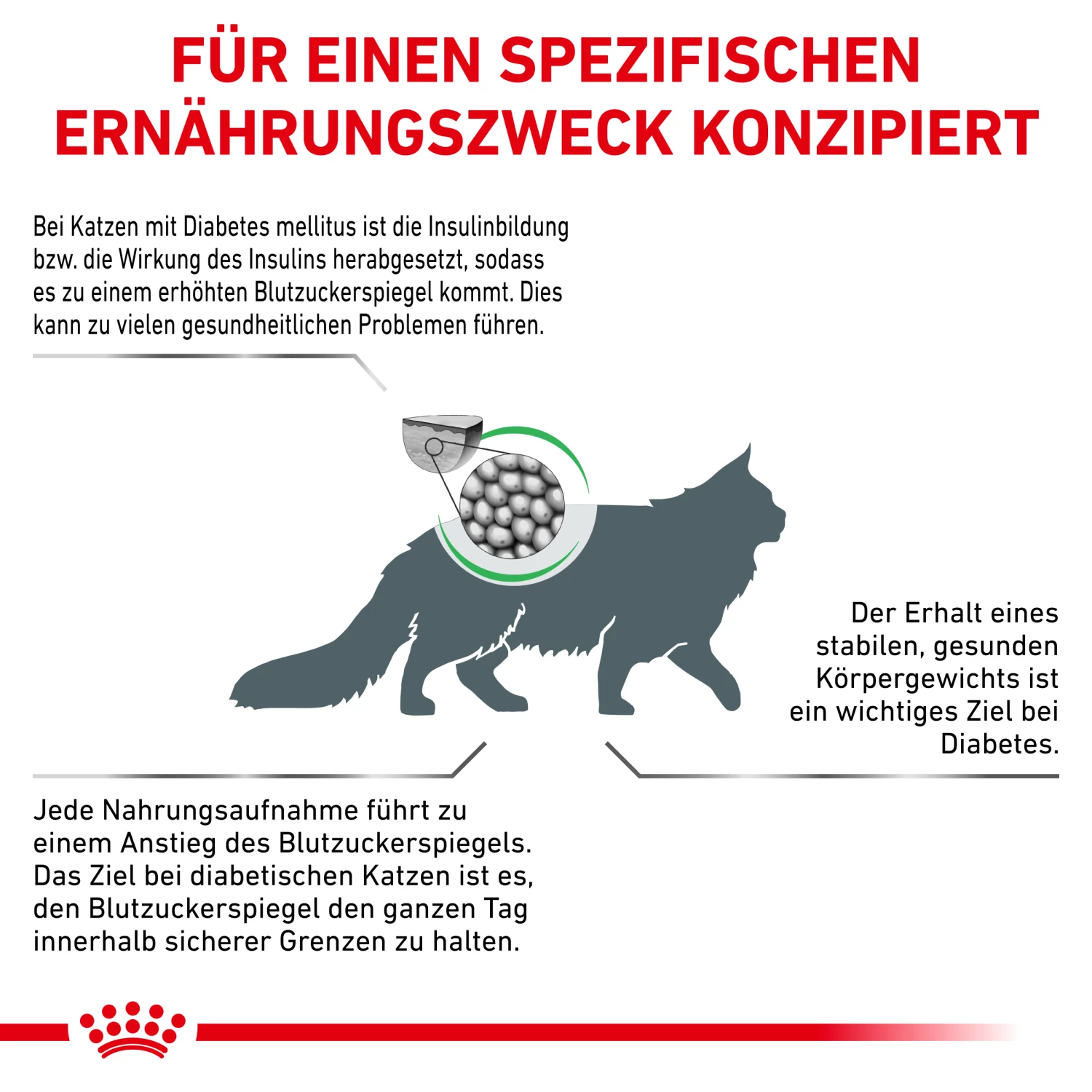 Royal Canin Diabetic Trockenfutter Katze – Bild 2