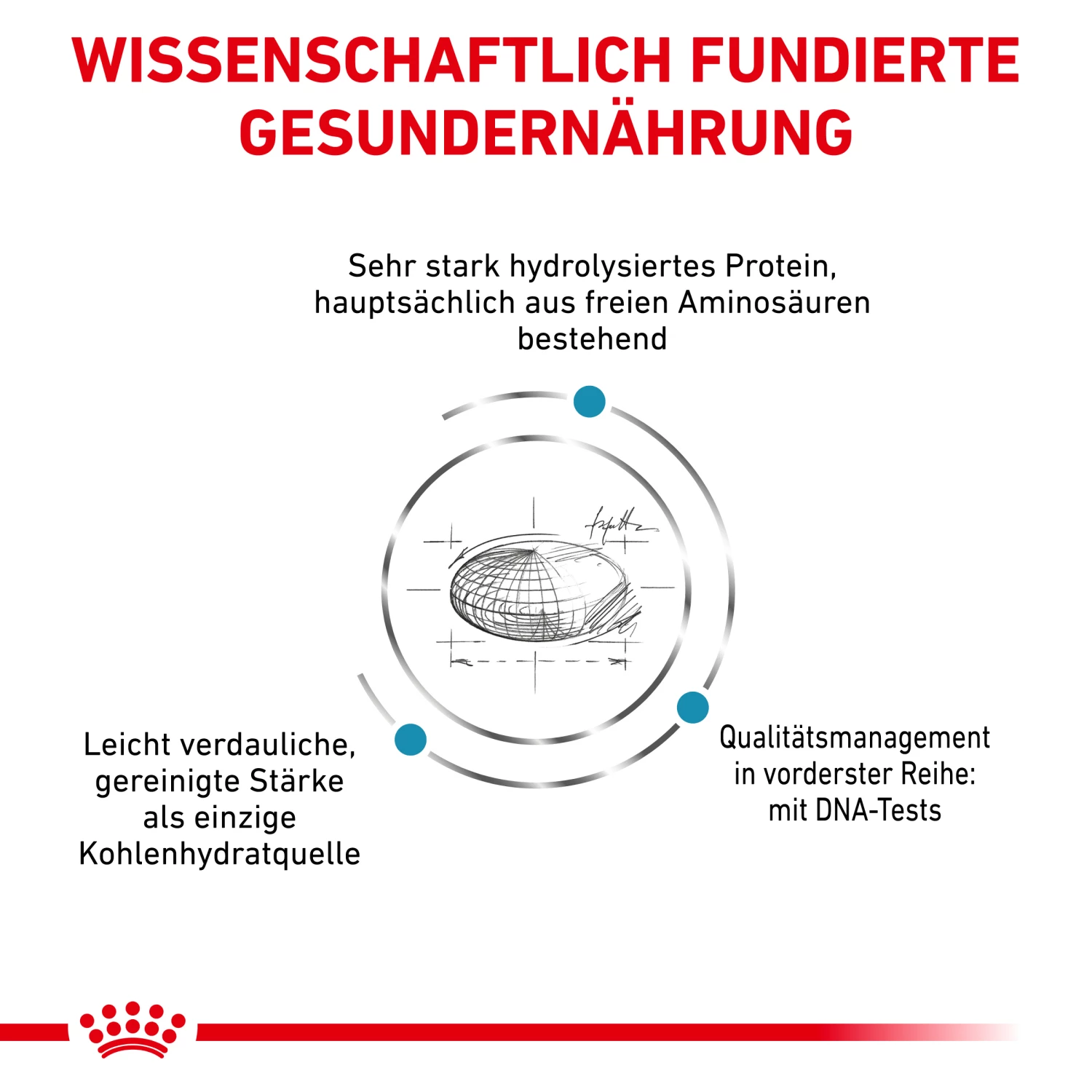 Royal Canin Anallergenic Trockenfutter Katze – Bild 2