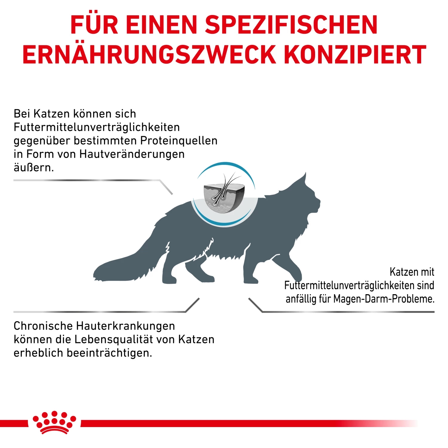 Royal Canin Anallergenic Trockenfutter Katze – Bild 7