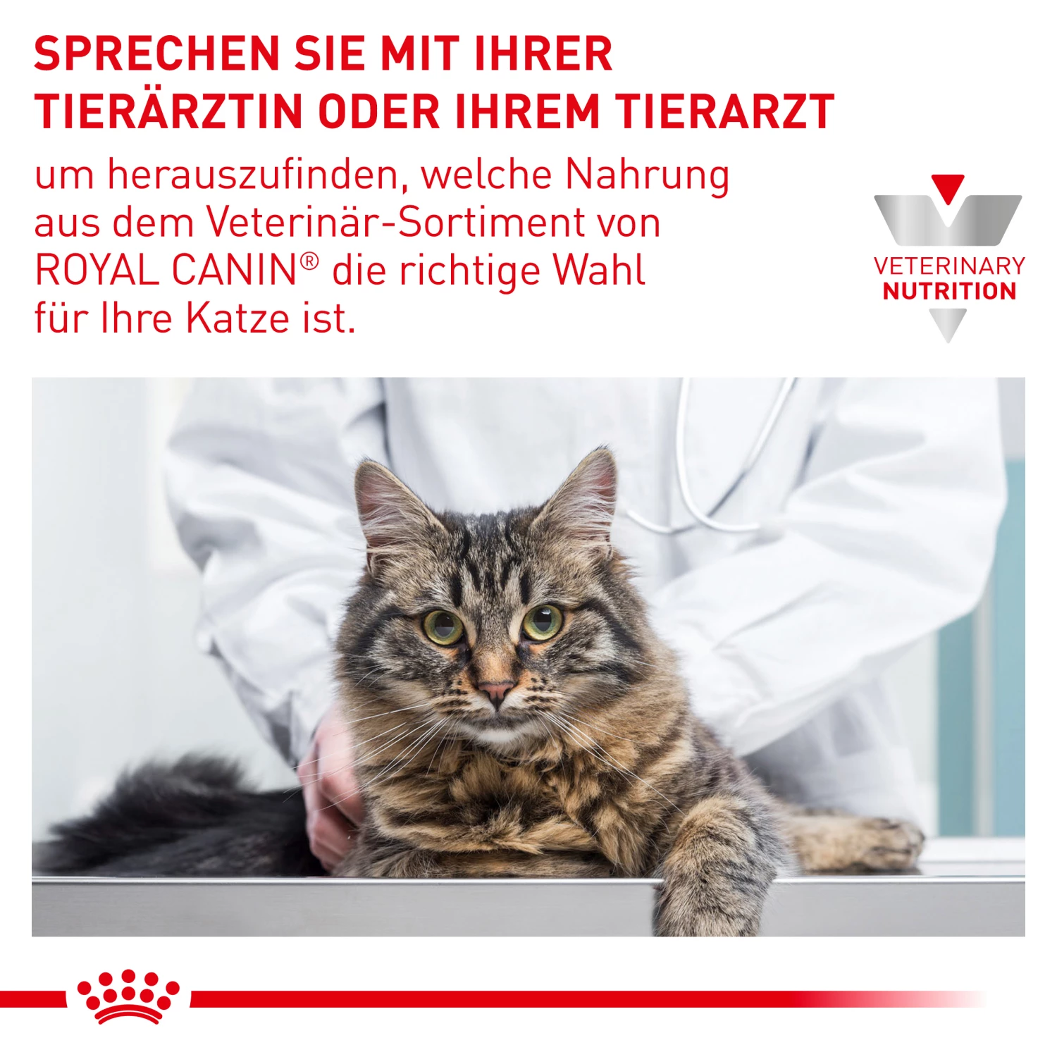 Royal Canin Satiety Weight Management Nassfutter Katze – Bild 7