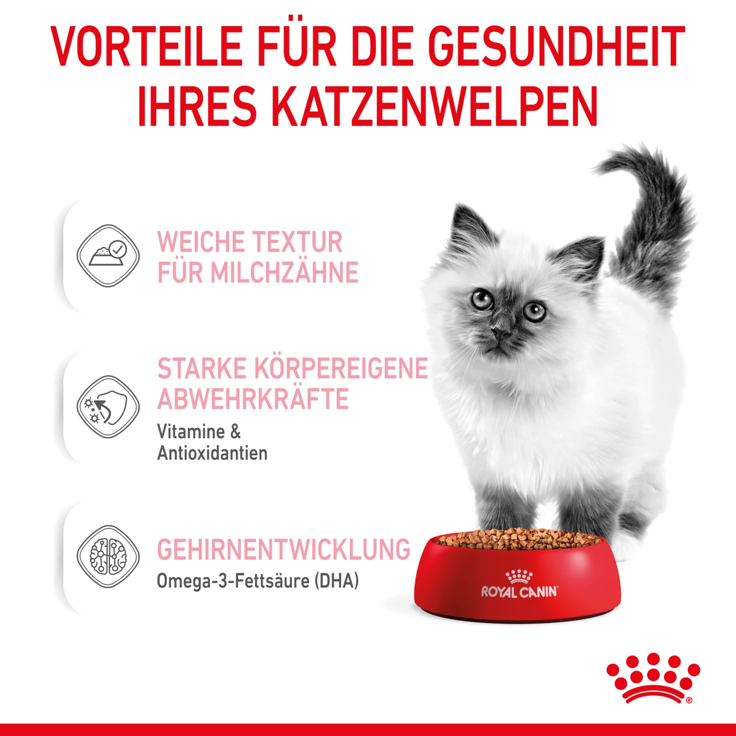 Royal Canin Kitten Nassfutter In Soße Für Kätzchen 12 X 85 G – Bild 3