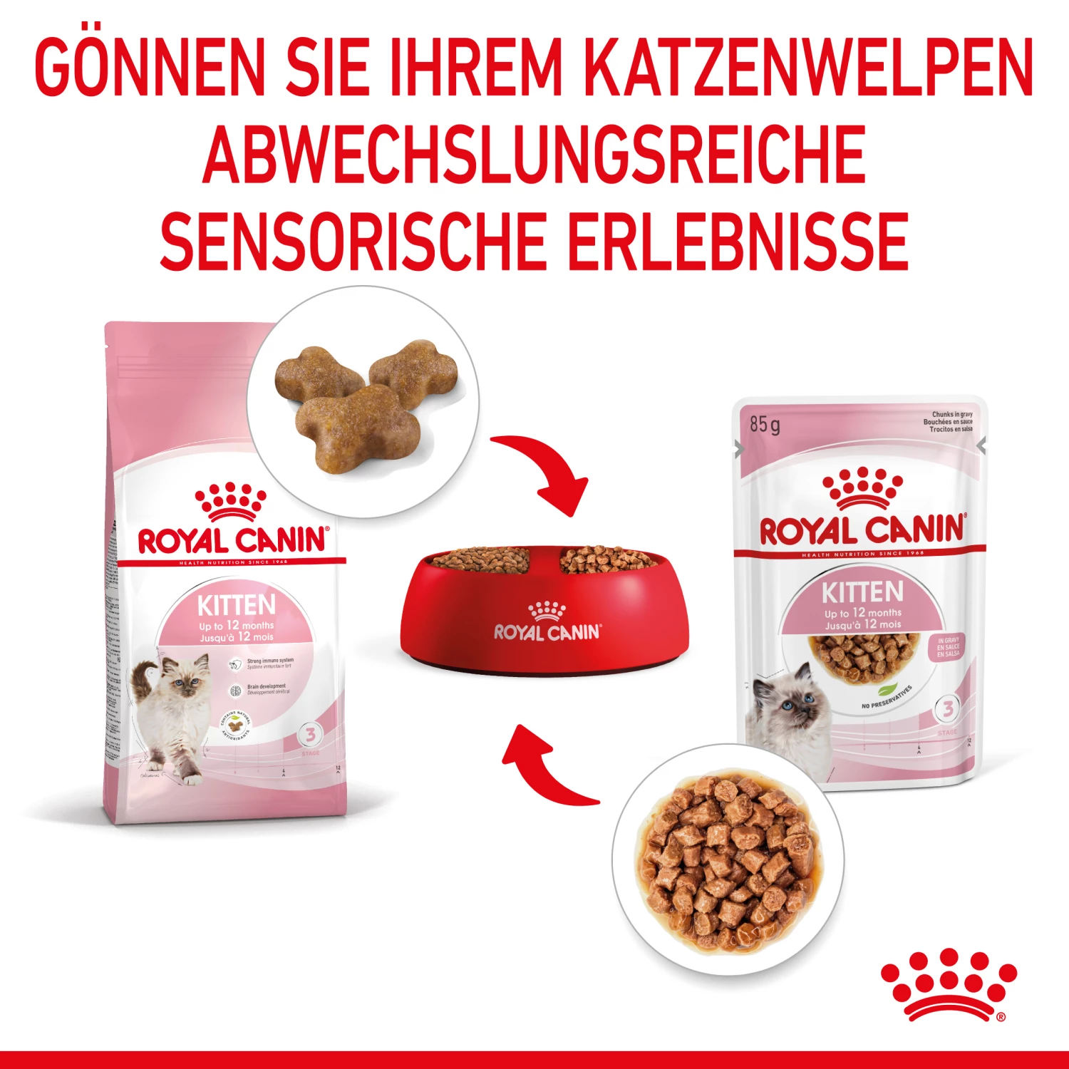 Royal Canin Kitten Nassfutter In Soße Für Kätzchen 12 X 85 G – Bild 4