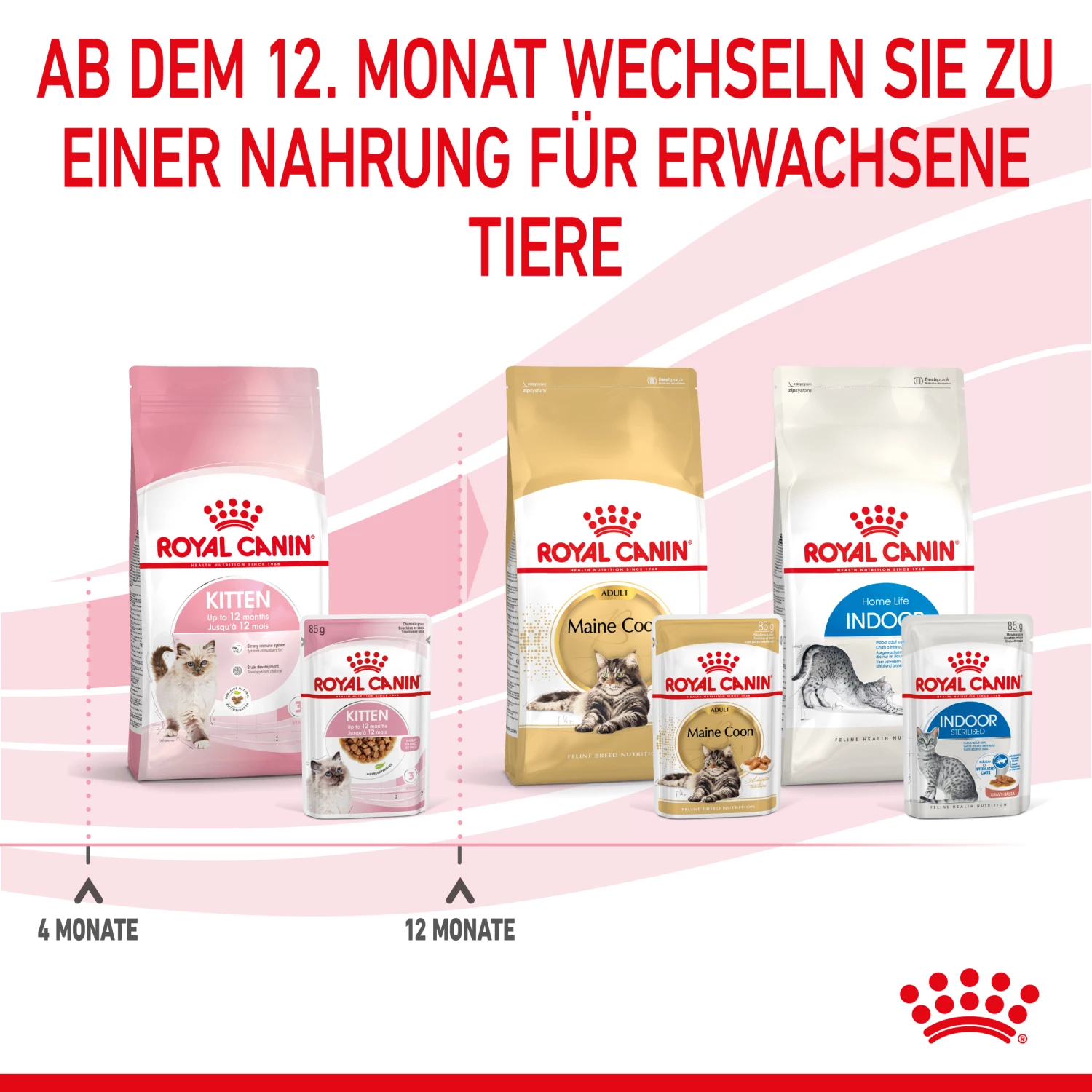Royal Canin Kitten Nassfutter In Soße Für Kätzchen 12 X 85 G – Bild 7
