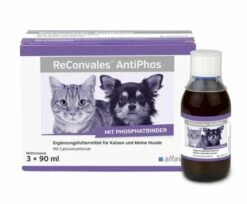 ReConvales AntiPhos